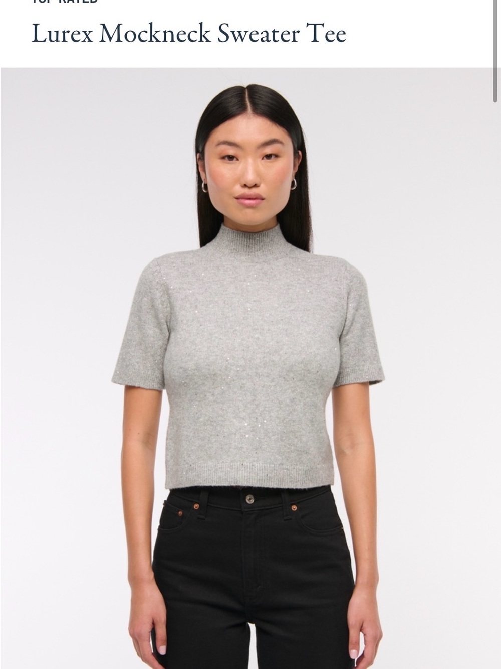Abercrombie & Fitch Silver Gray Lurex Mockneck Sweater Tee